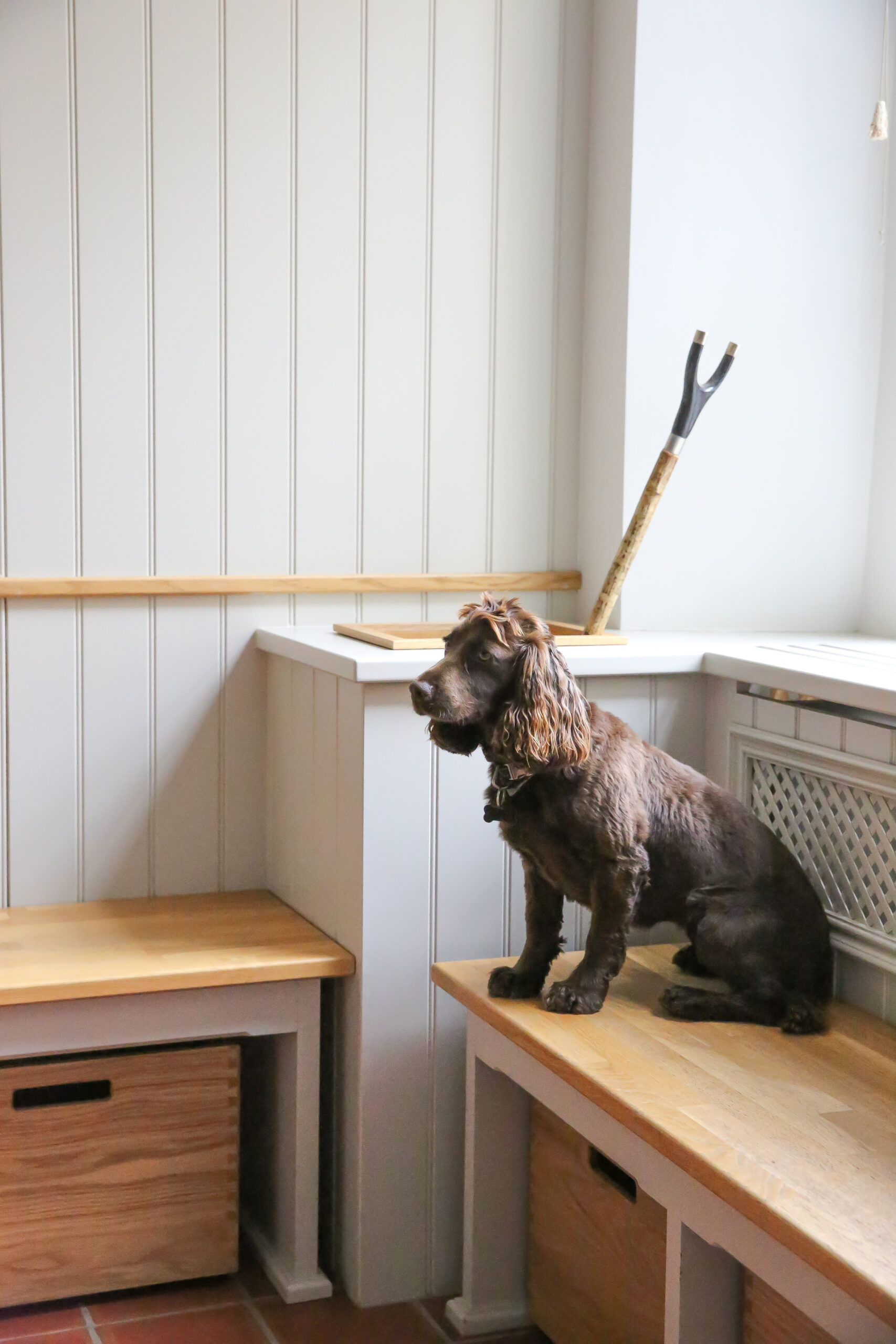 Boot room bench with a spaniel